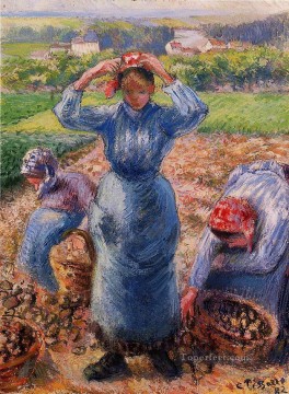  cosecha pintura - Los campesinos cosechando patatas 1882 Camille Pissarro